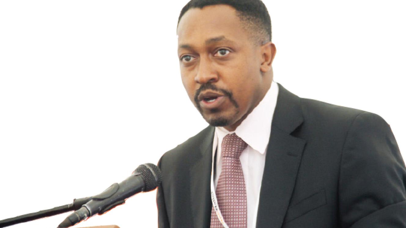Currency crisis derails Zim import ban plans | Freight News
