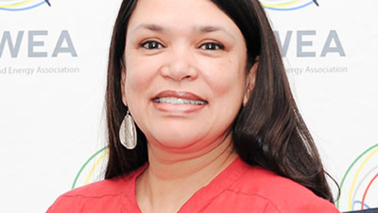 CEO of the South African Wind Energy Association, Brenda Martin.