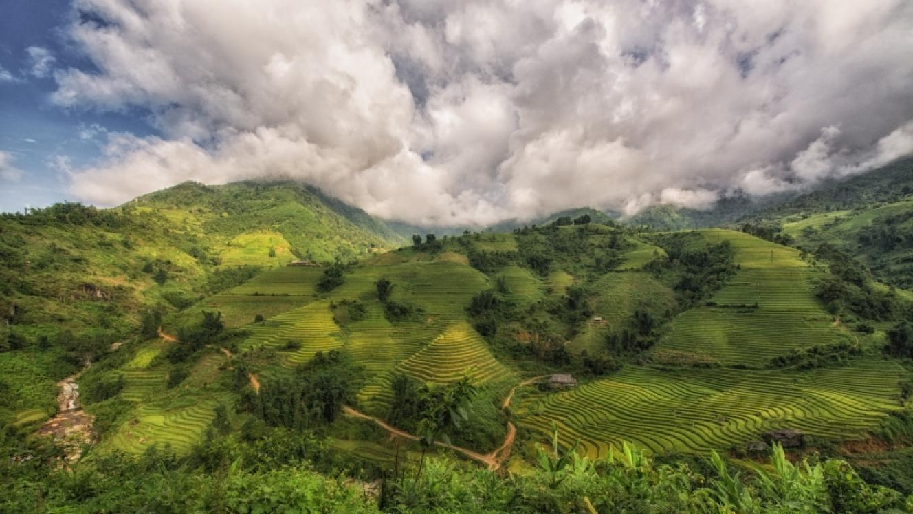 Vietnam is an attractive market for counter-seasonal fruit.