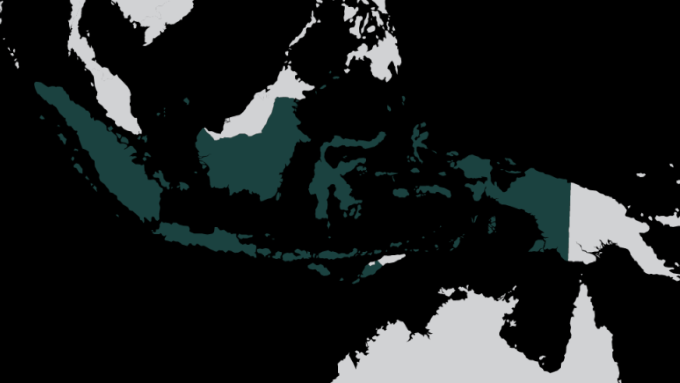 Indonesia has a fast growing economy and is an emerging manufacturing hub.
