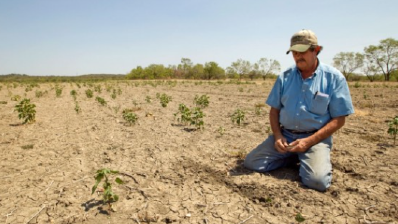 Drought-stricken farmers are falling for a new scam.