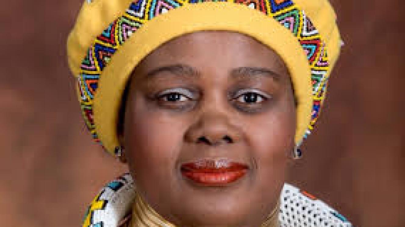 Minster of Science and Technology, Mmamoloko Kubayi-Ngubane.