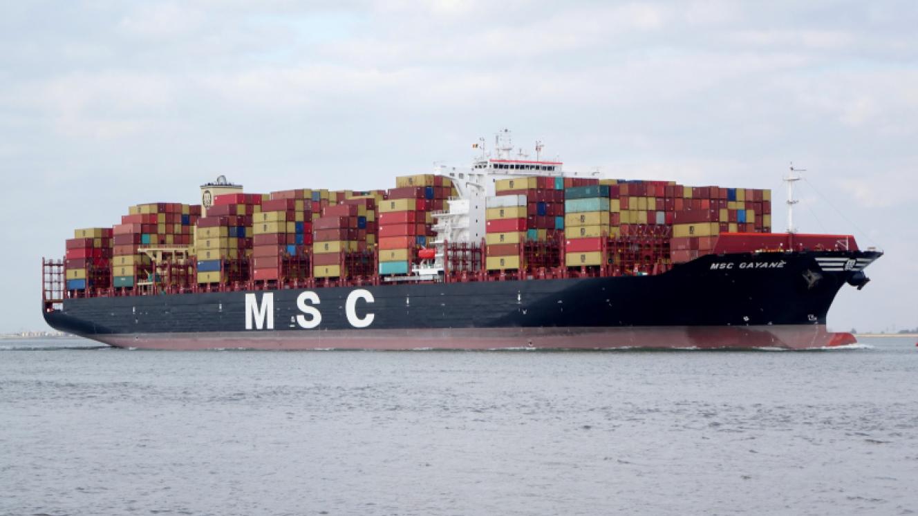 MSC not the target of US inquiry | Freight News