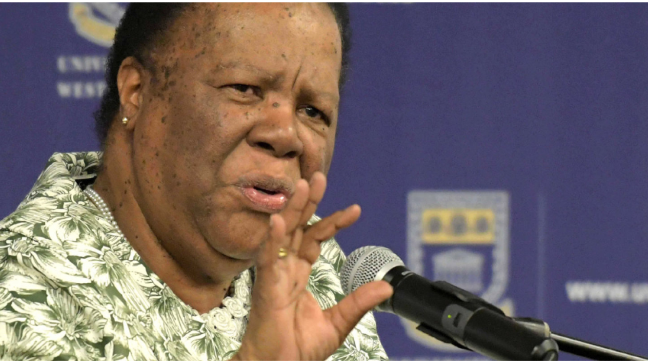 International Relations and Cooperation Minister, Naledi Pandor