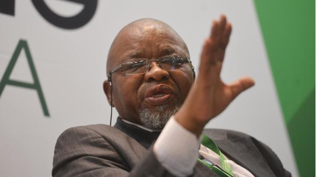 Mineral resources and Energy Minister, Gwede Mantashe