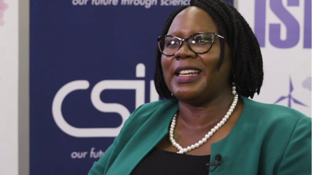 Deputy Minister of Trade and Industry, Nomalungelo Gina