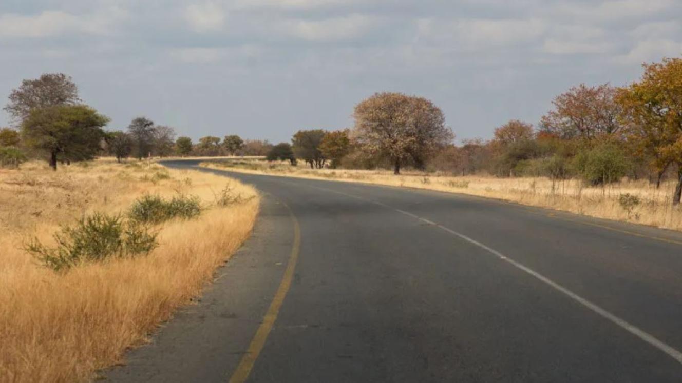 The road north of Nata in Botswana, curling through bushveld and known for its free-moving game, where a tanker contaminated a large area with a sulphuric acid spill.