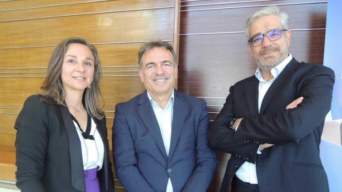 New SA-Europe route adds cargo capacity New SA-Europe route adds cargo capacity