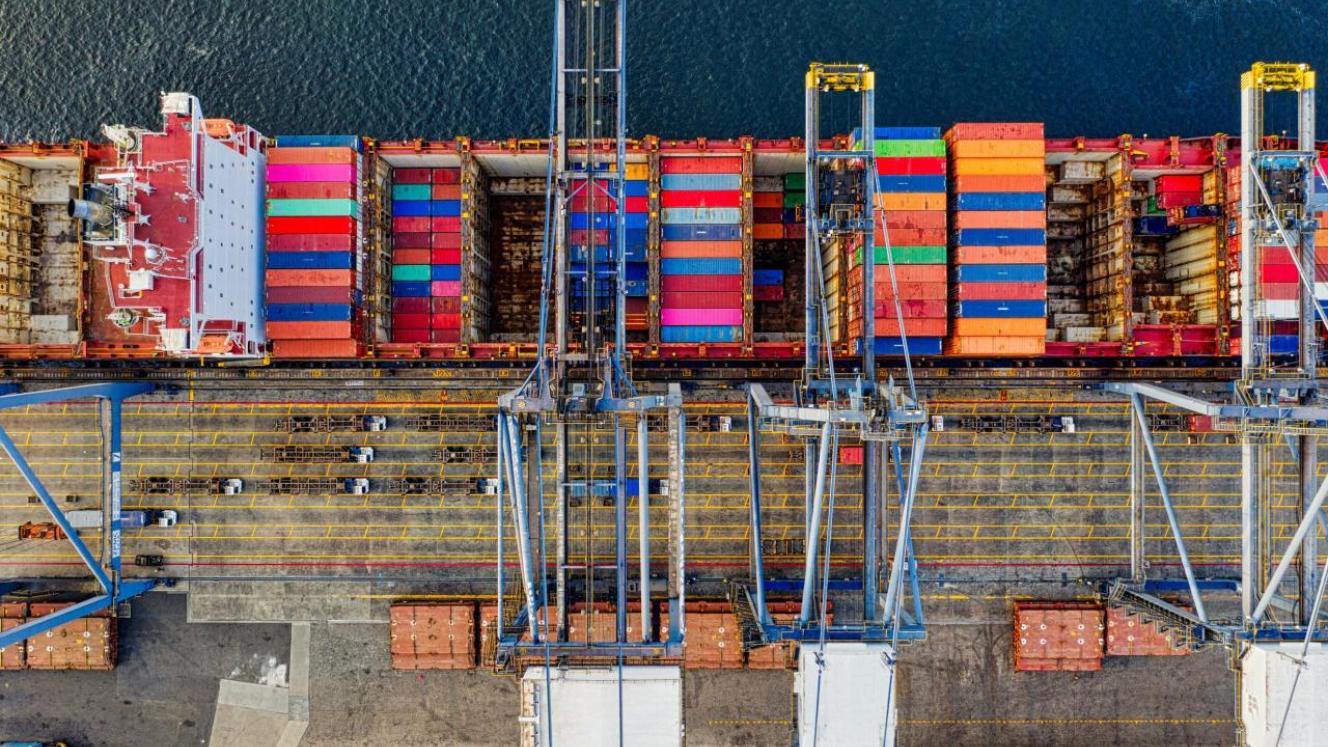 DGT’s yard conditions are improving, but vessel delays and reefer congestion remain high, underscoring an uneven recovery.