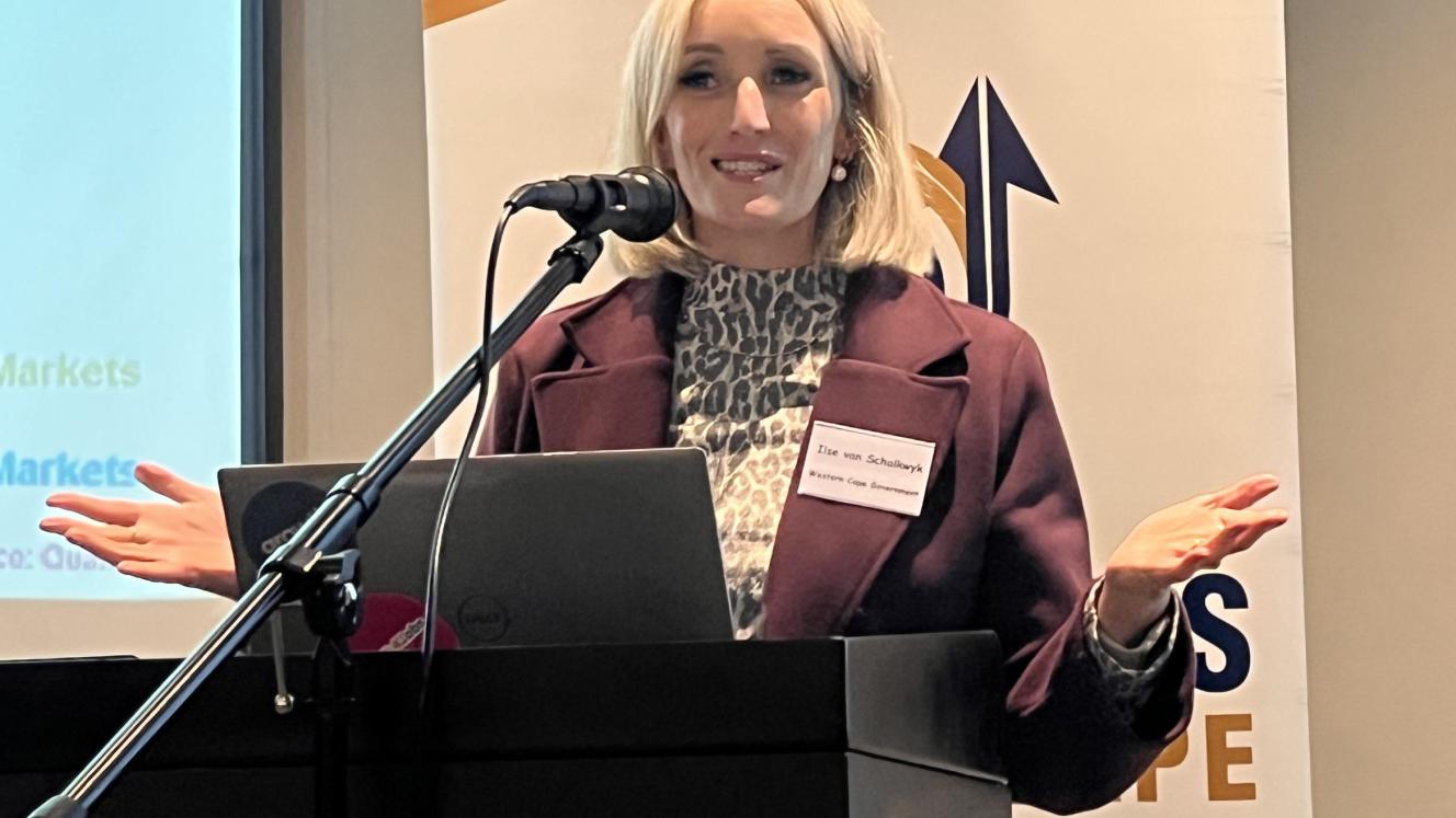 Ilse van Schalkwyk, deputy director-general in the Western Cape Department of Economic Development and Tourism, says the province is sharing its own port performance data with the World Bank.