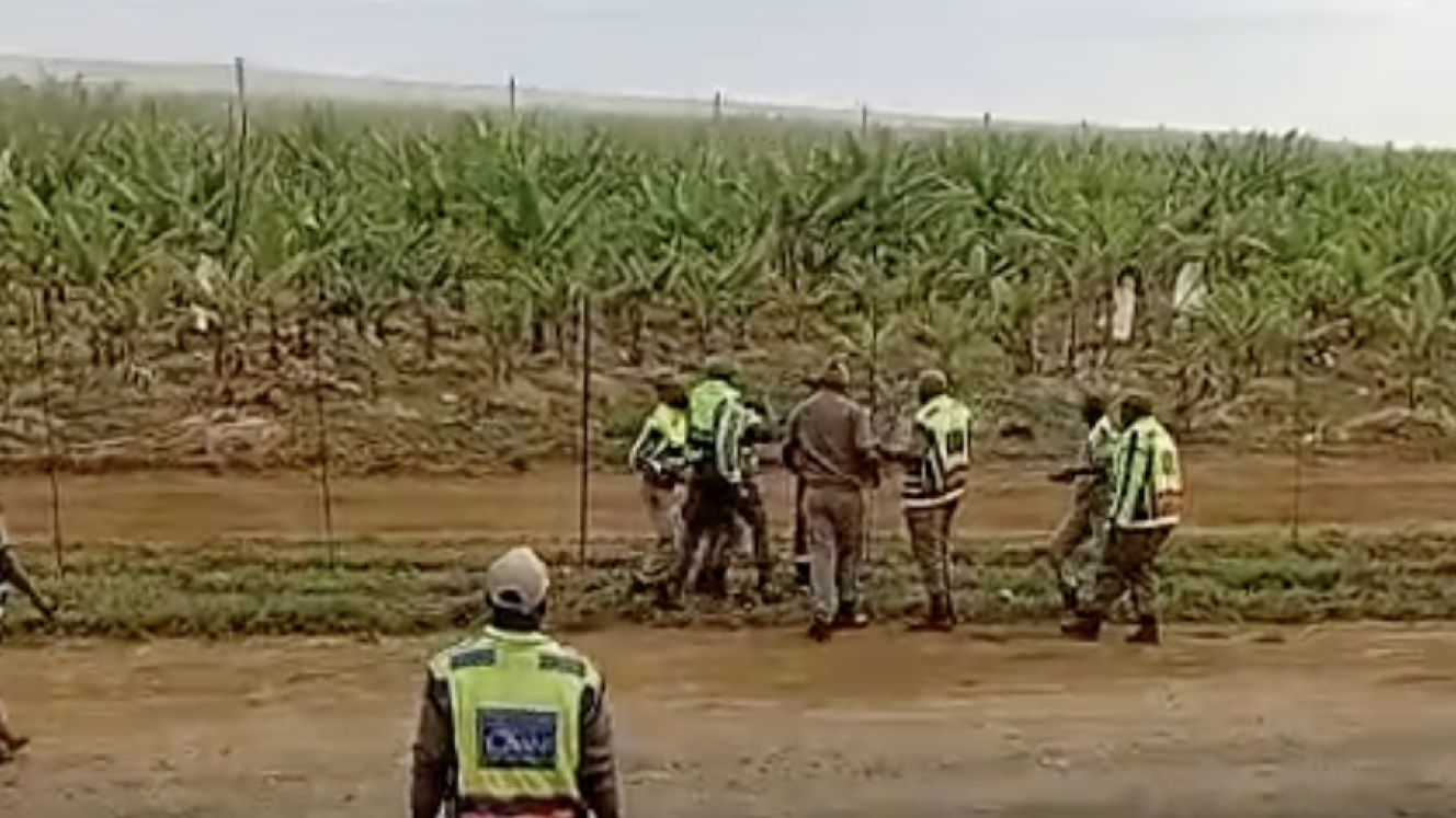 Traffic police officers allegedly assaulted a truck driver on the side of the N4. 