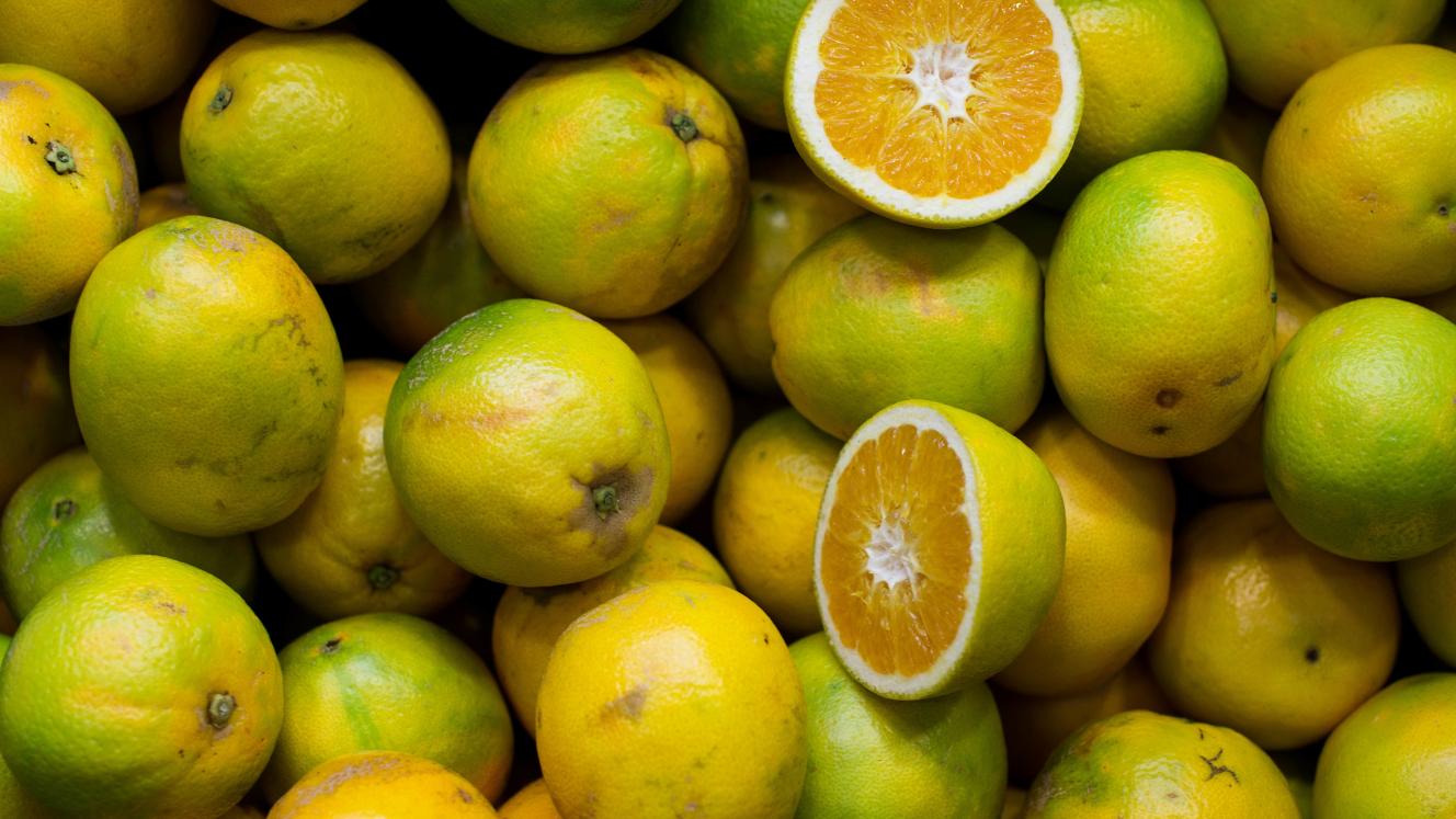 Port delays and disrupted shipping routes are adding pressure to Southern Africa’s citrus exporters. 