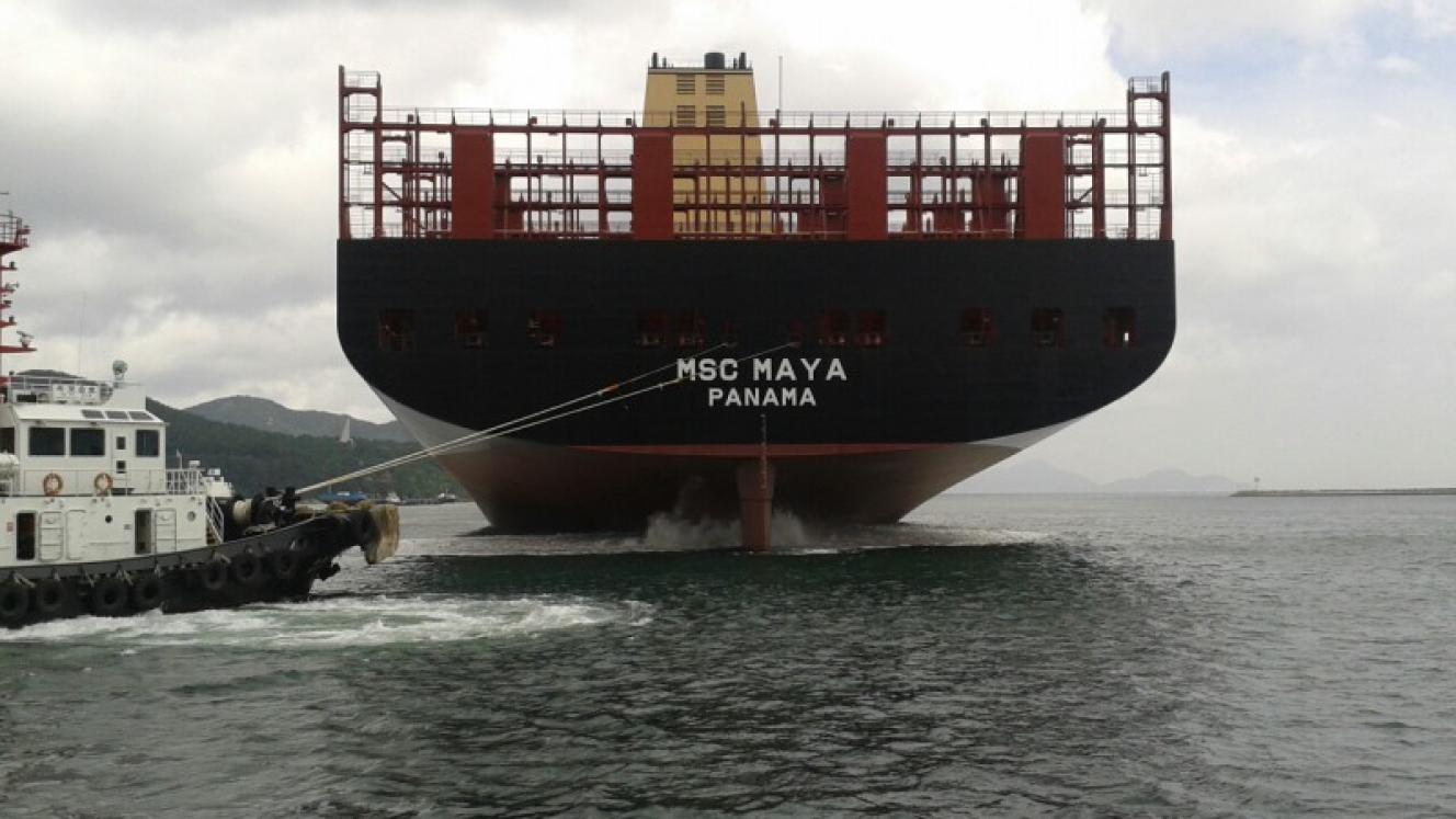The MSC Maya.
