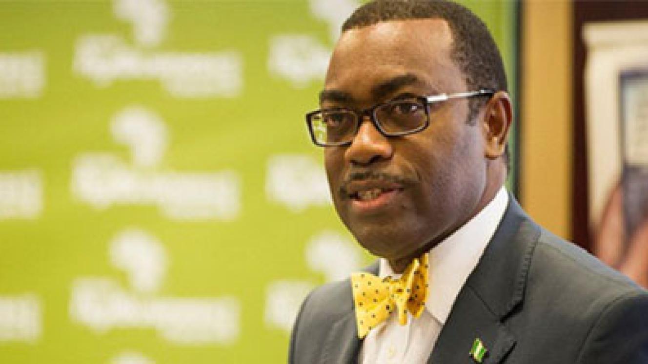 Akinwumi Adesina, the head of the African Development Bank.