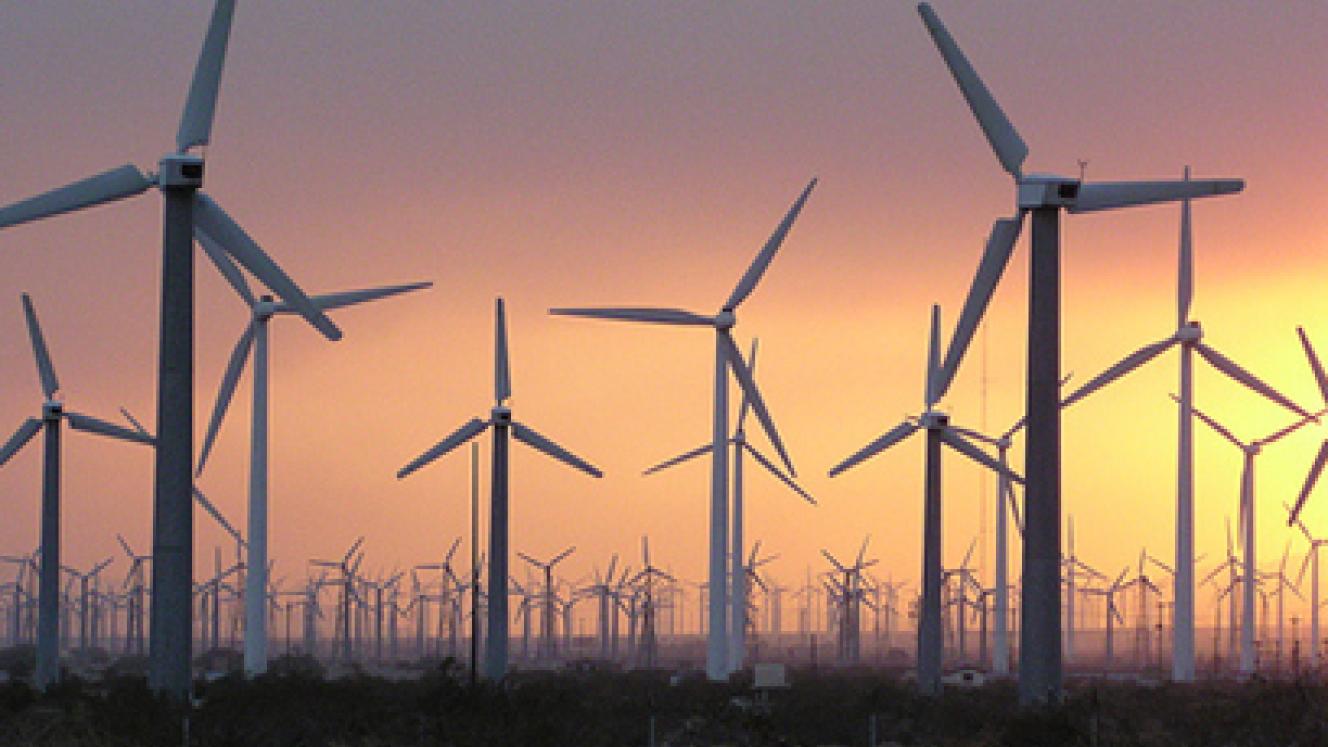 Lake Turkana wind farm.