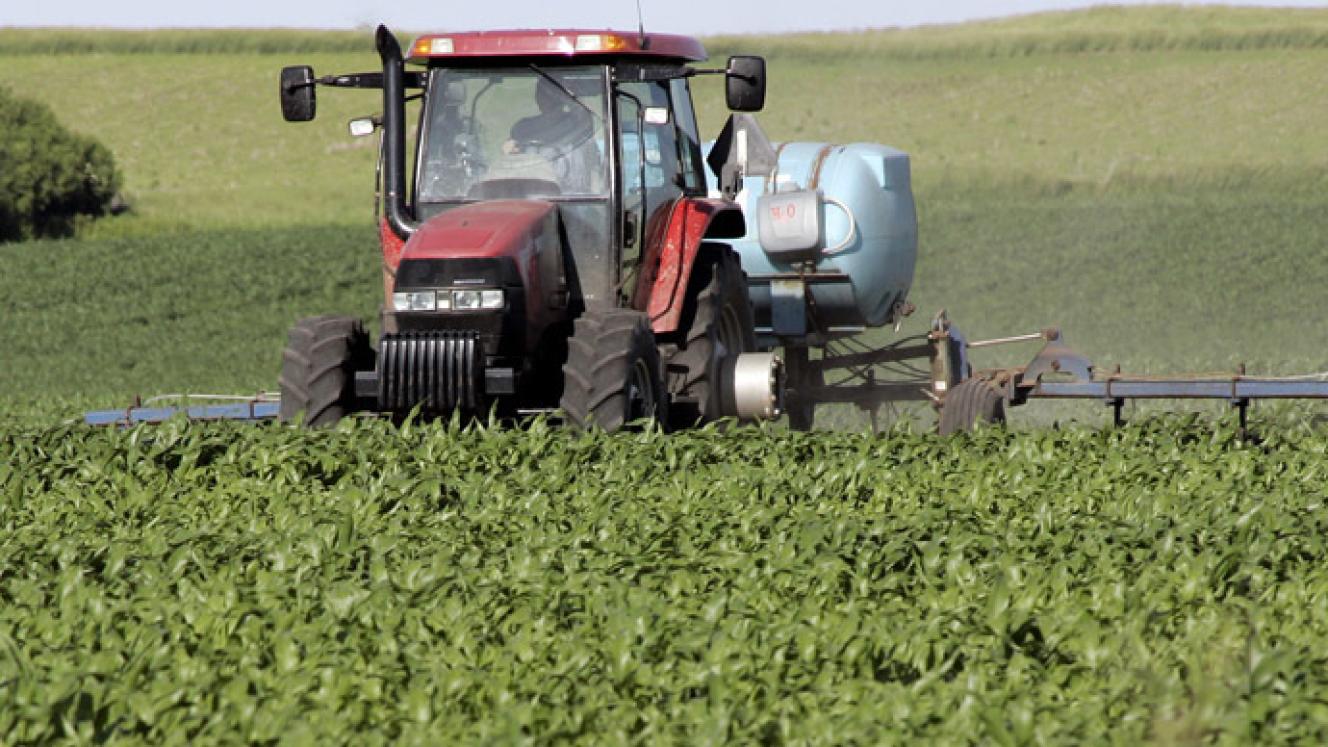 South Africa is one of the world’s key maize producers.