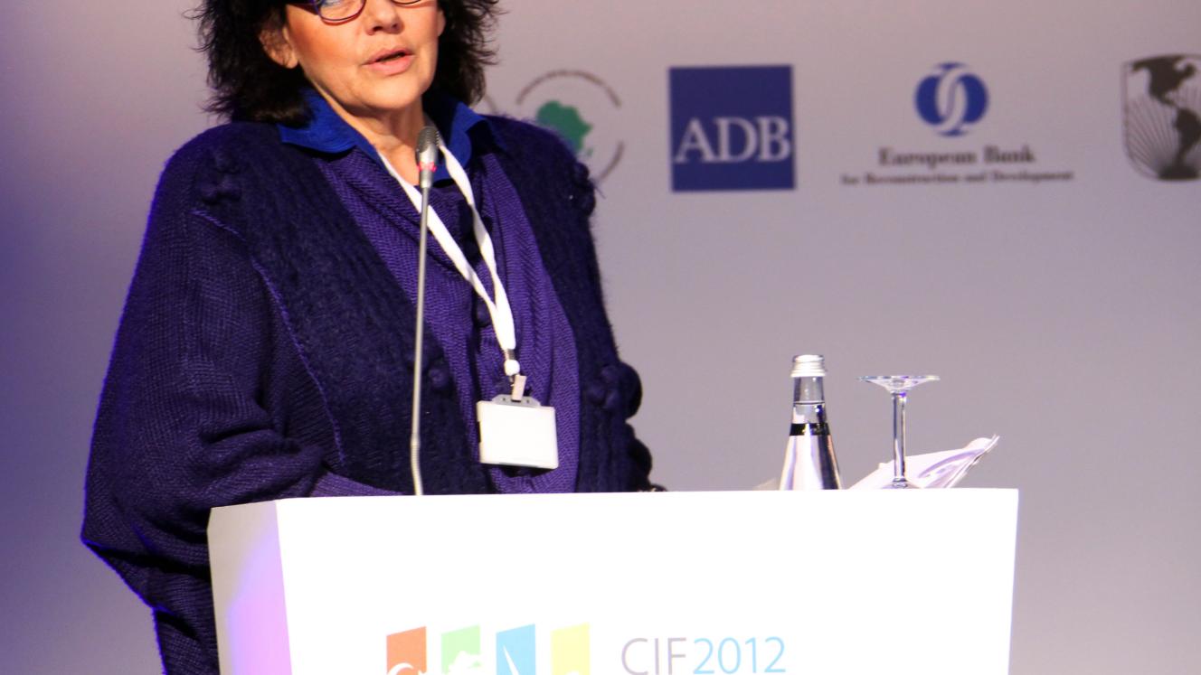 Karen Breytenbach, head of the Department of Energy’s IPP office.