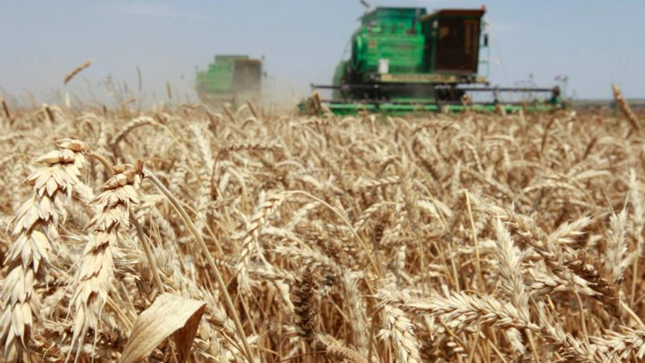 South Africa’s wheat industry is reportedly the hardest hit by the drought.