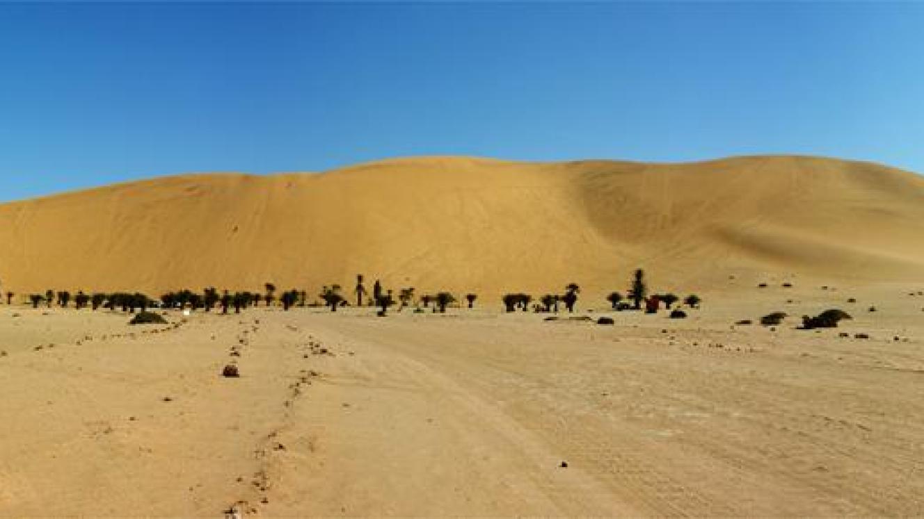 The Walvis Bay Power Plant will be built on Dune 7 in Walvis Bay.