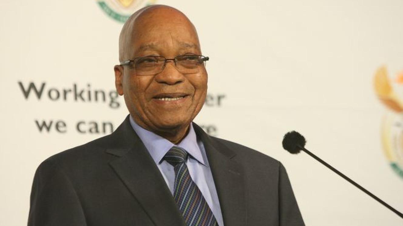 President Jacob Zuma will chair the new Inter-Ministerial Committee on Investment.