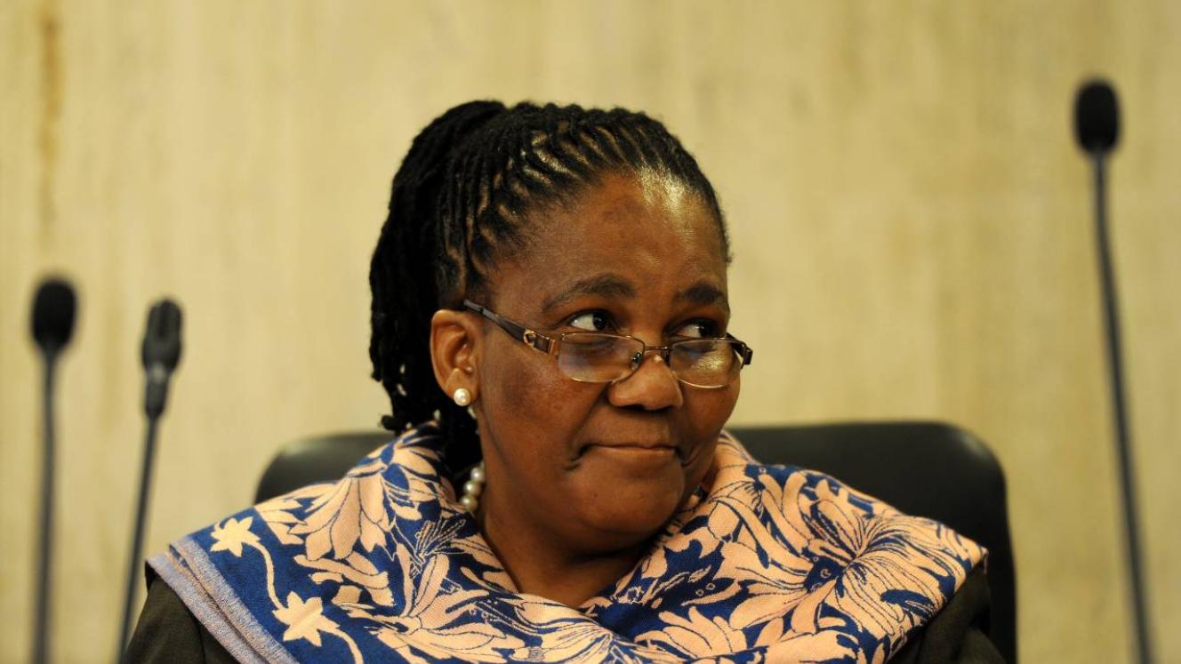 Minister of Transport, Dipuo Peters.
