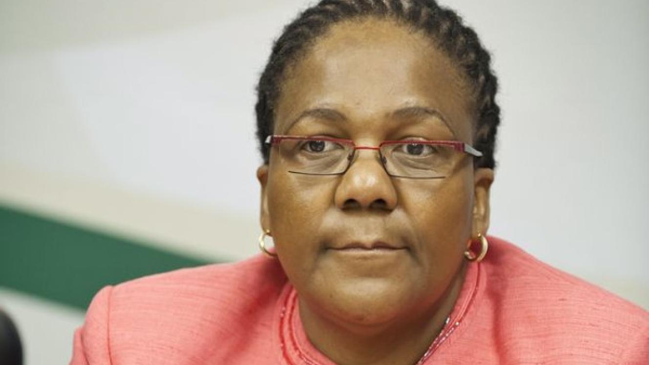 Minister of Transport, Dipuo Peters.