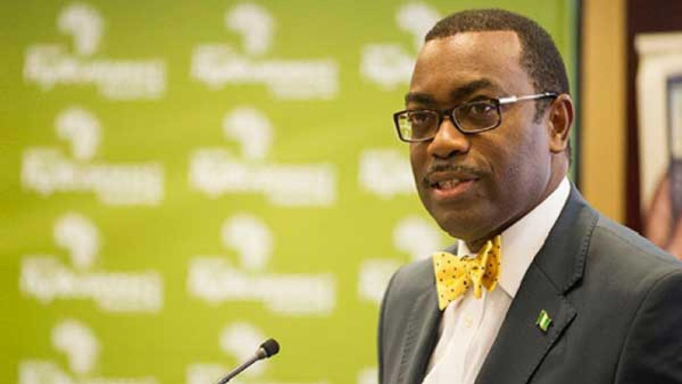 Akinwumi Adesina, president of the African Development Bank.