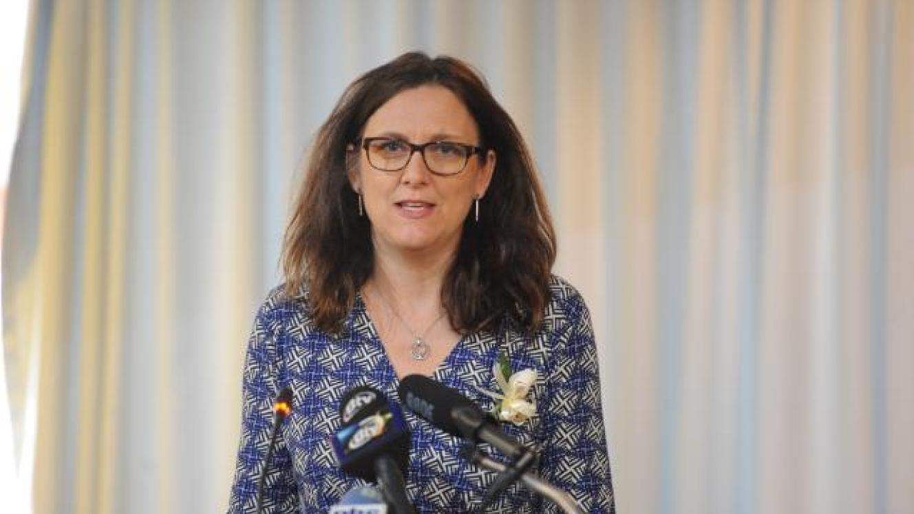 EU commissioner for trade, Cecilia Malmström, addresses media after the signing of the EPA. Source: EU