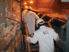 Closure of the BCL mine saw close to 8 000 job losses.