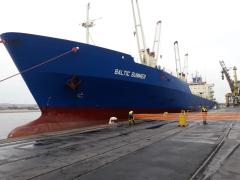 The Baltic Summer will be used for the first bulk citrus shipment to China and Japan.