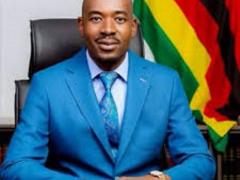 Nelson Chamisa, the leader of the main opposition party, the Movement for Democratic Change.