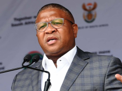 Transport Minister Fikile Mbalula