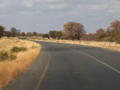 The road north of Nata in Botswana, curling through bushveld and known for its free-moving game, where a tanker contaminated a large area with a sulphuric acid spill.