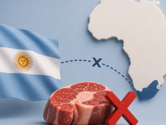 Argentine oxtail imports remain disrupted, tightening South African supplies.