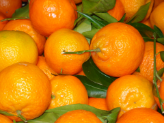 Southern African citrus growers are being urged to follow updated plant-protection product restrictions to ensure fruit meets changing residue limits in key export markets.
