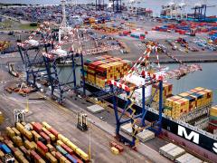 Industry bodies are calling for a coordinated recovery plan at the DGT, warning that prolonged disruption is pushing up logistics costs and threatening supply chains.