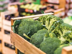 BRICS countries account for approximately half of global agricultural imports; South Africa is pushing for trade reforms to help local exporters access these high-growth markets.