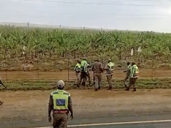 Traffic police officers allegedly assaulted a truck driver on the side of the N4. 