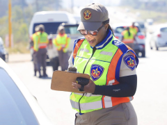 A Road Traffic Inspectorate operation led to the arrest of several undocumented migrant truck drivers over the weekend.