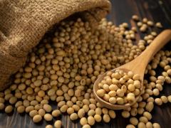South Africa has secured a 200 000-ton soybean export deal with China, with duty free market access and freight advantages boosting export competitiveness.