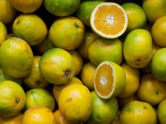 Port delays and disrupted shipping routes are adding pressure to Southern Africa’s citrus exporters. 