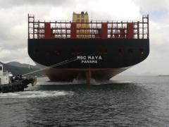 The MSC Maya.
