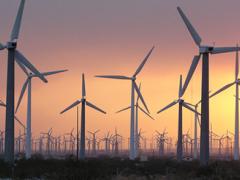 Lake Turkana wind farm.