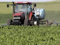 South Africa is one of the world’s key maize producers.