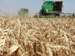 South Africa’s wheat industry is reportedly the hardest hit by the drought.