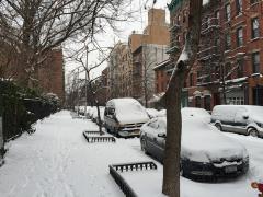 The snow-covered streets of New York.