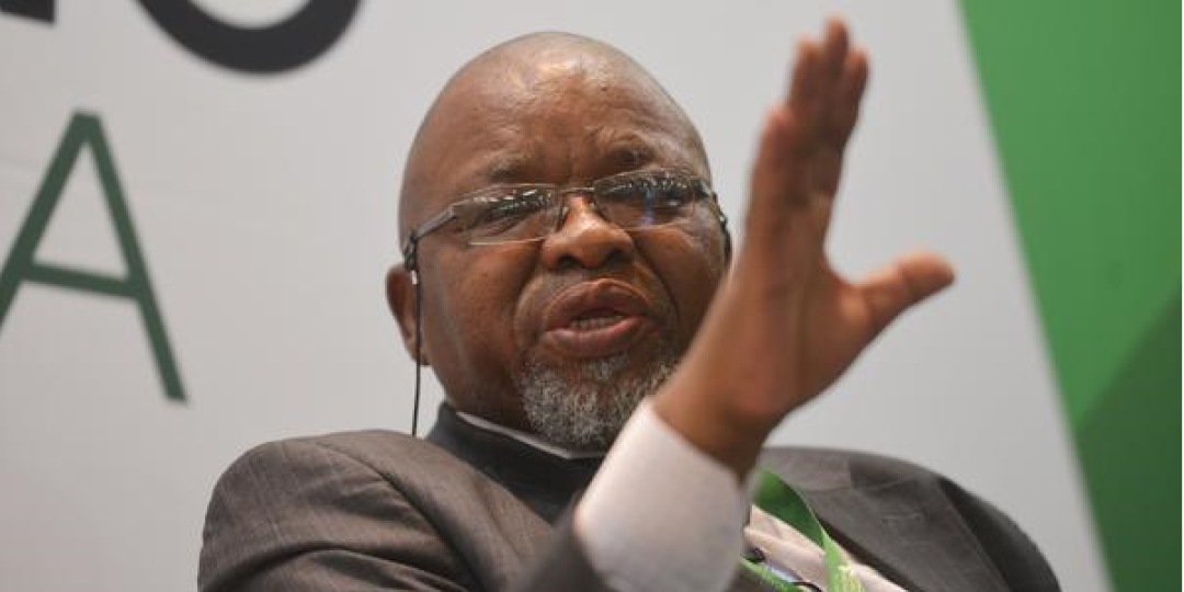 Mineral resources and Energy Minister, Gwede Mantashe