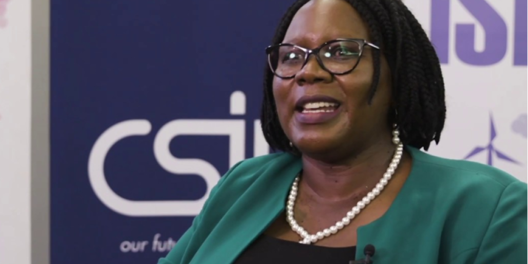 Deputy Minister of Trade and Industry, Nomalungelo Gina