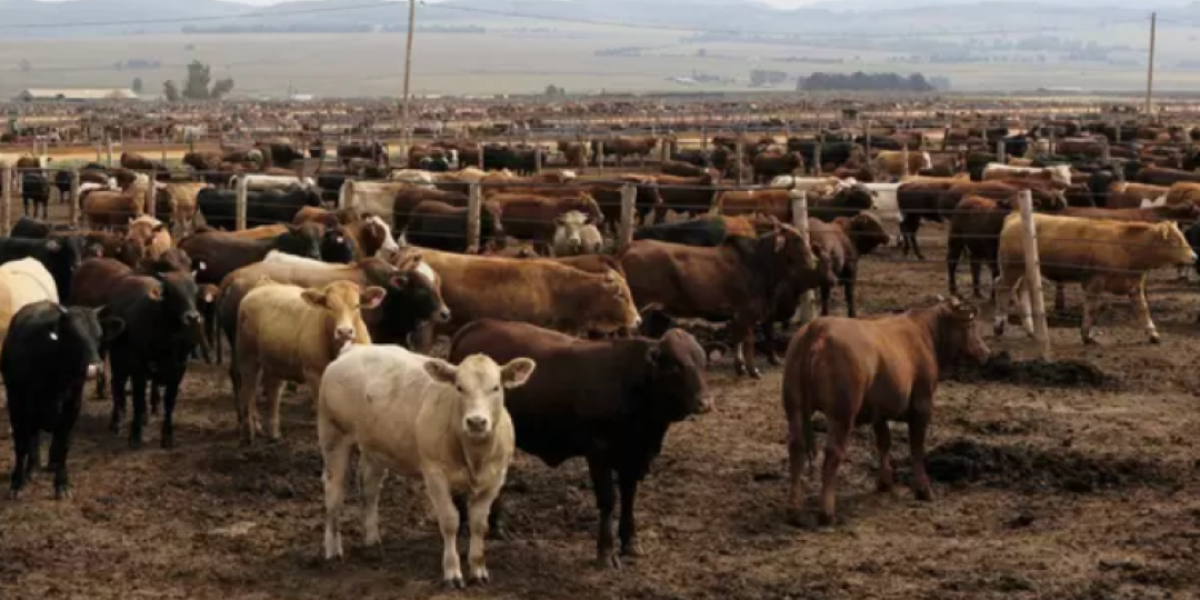 Stock theft a reality for farmers.