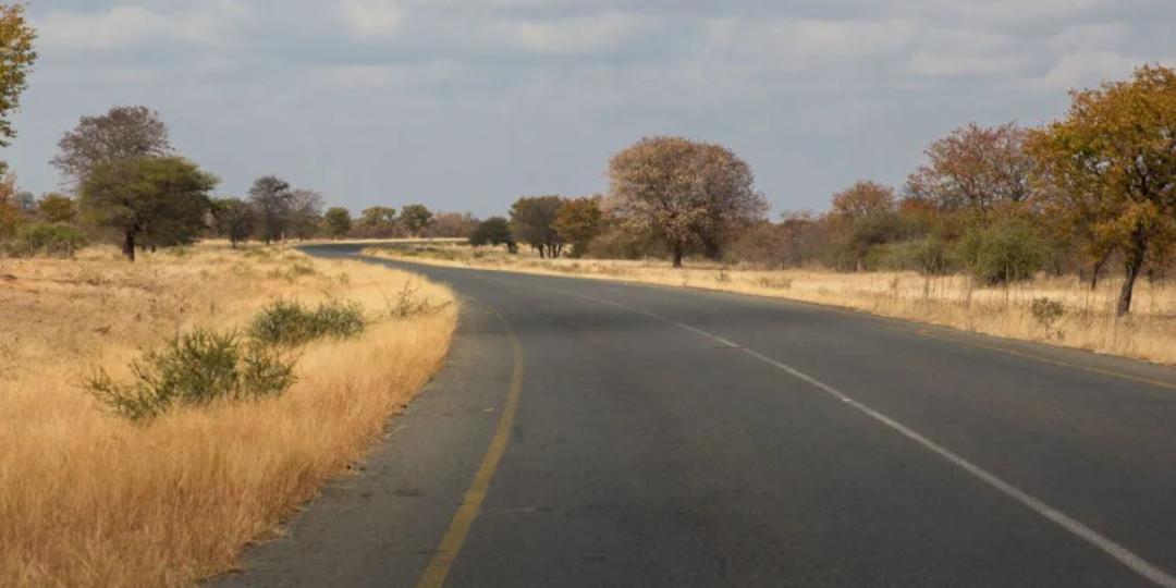 The road north of Nata in Botswana, curling through bushveld and known for its free-moving game, where a tanker contaminated a large area with a sulphuric acid spill.
